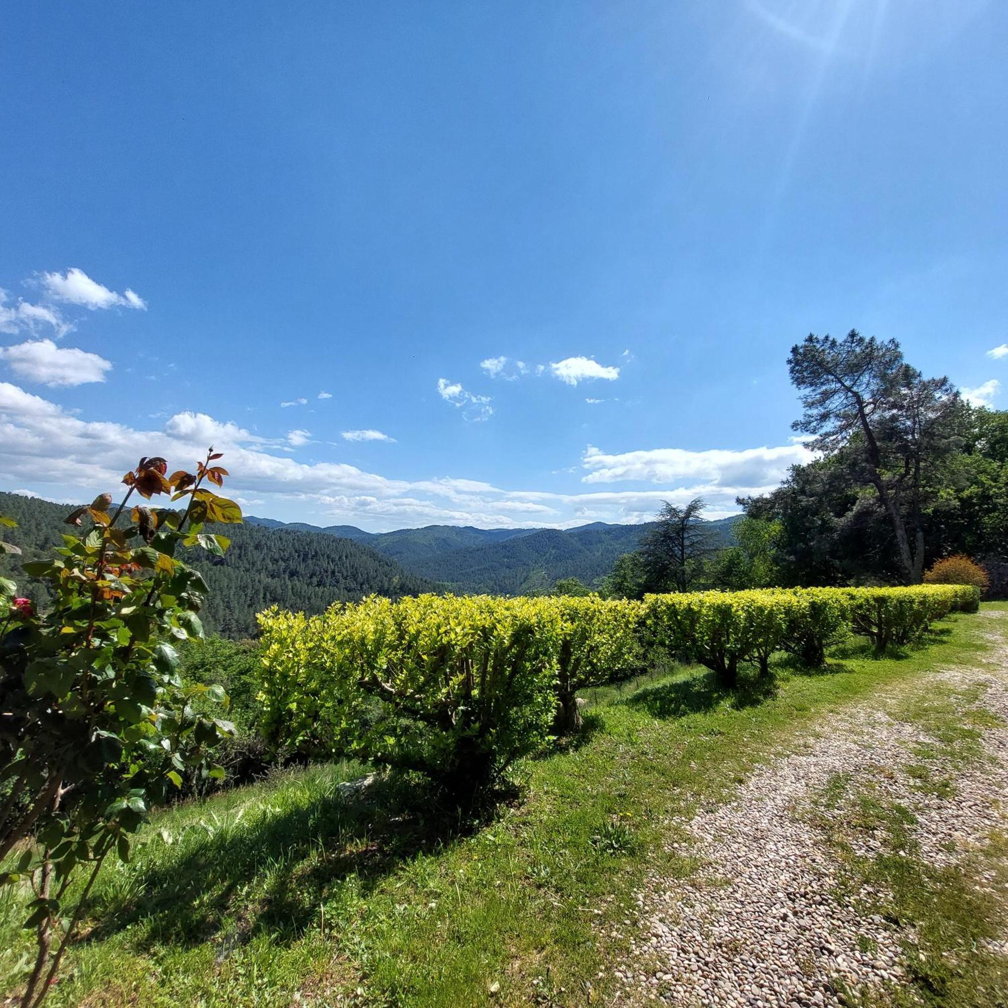 Chalet 14 Pers Avec Vue Panoramique Et Piscine Chauffee Genolhac 외부 사진