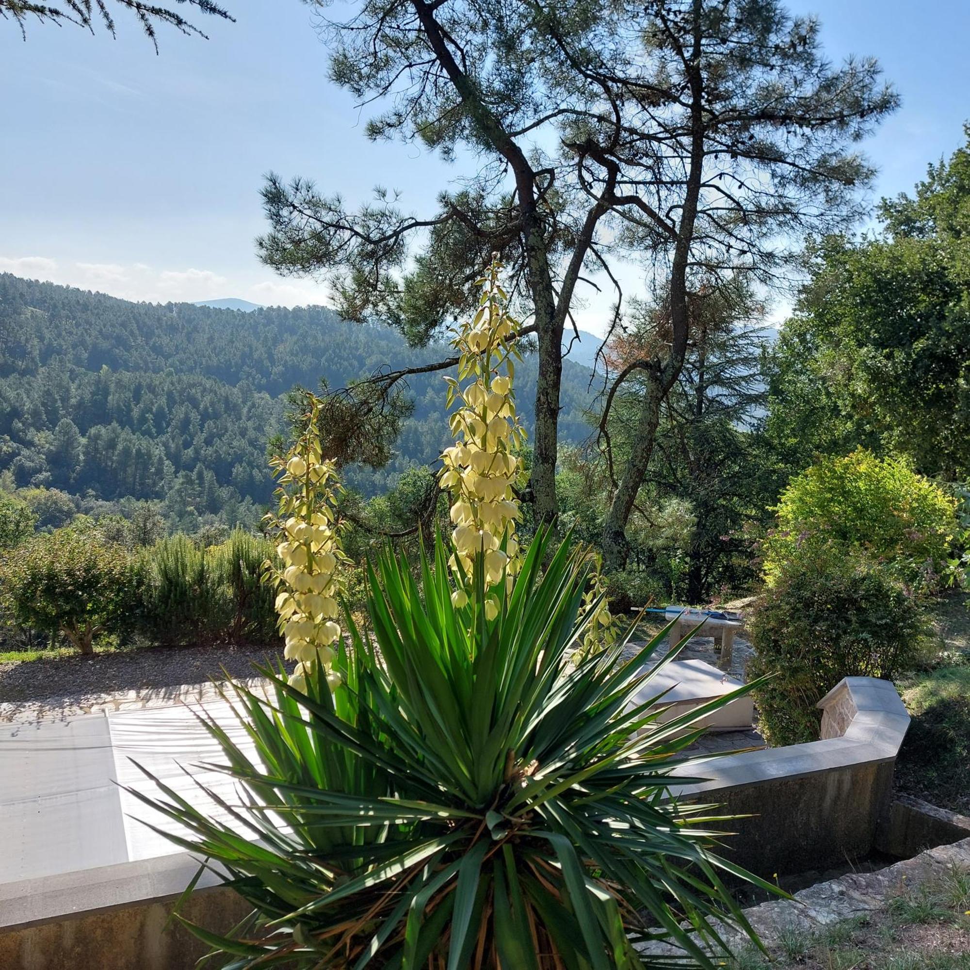 Chalet 14 Pers Avec Vue Panoramique Et Piscine Chauffee Genolhac 외부 사진